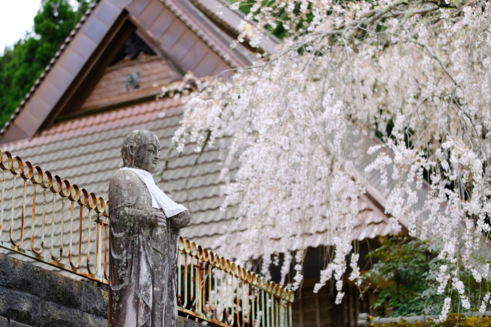 シグマ 富士フイルムXマウント用レンズ3本を使ってみました ／ 京都
